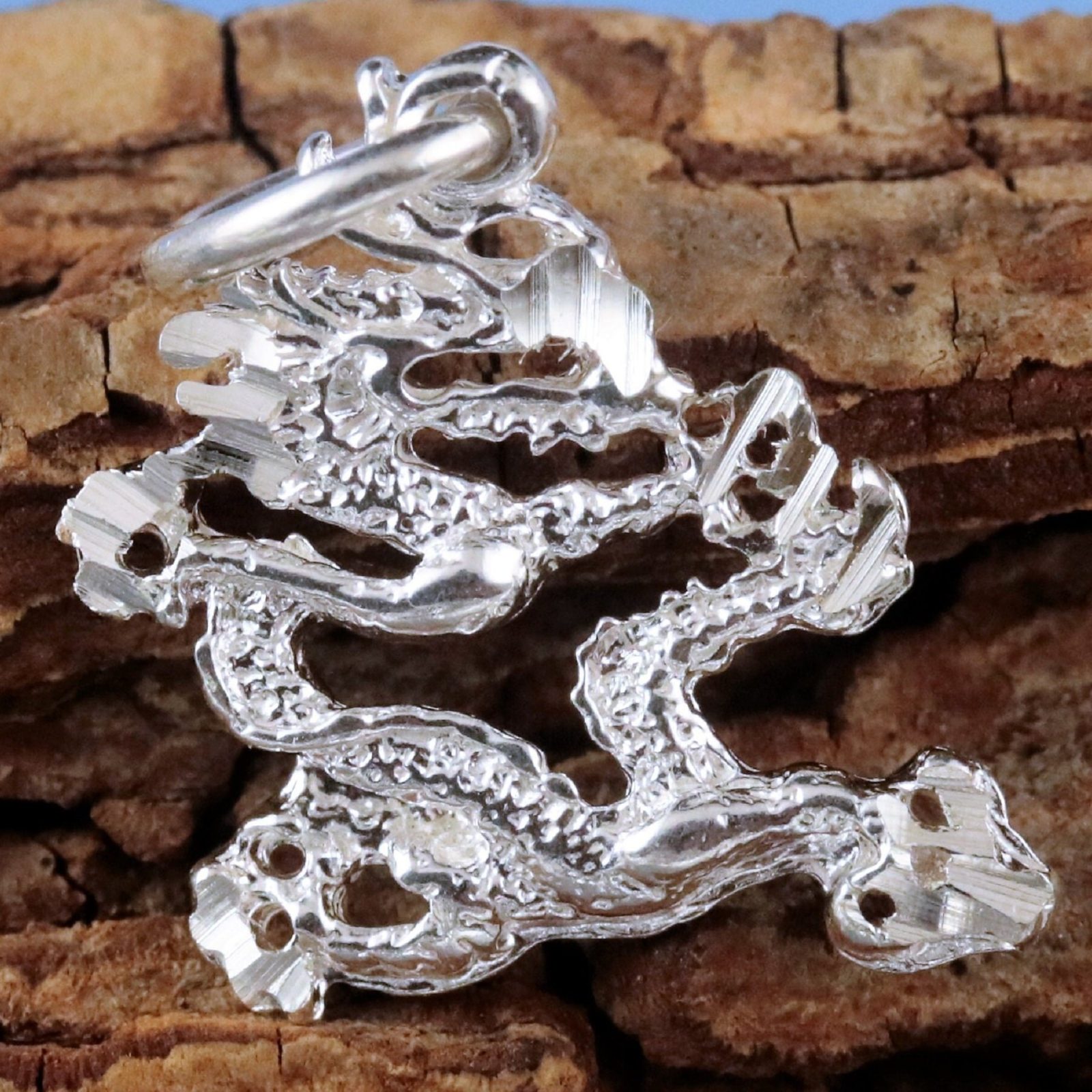 Sterling Silver dragon pendant. Chinese dragon charm necklace, fast free  shipping, Mythology jewelry. - Jewelry Network Inc